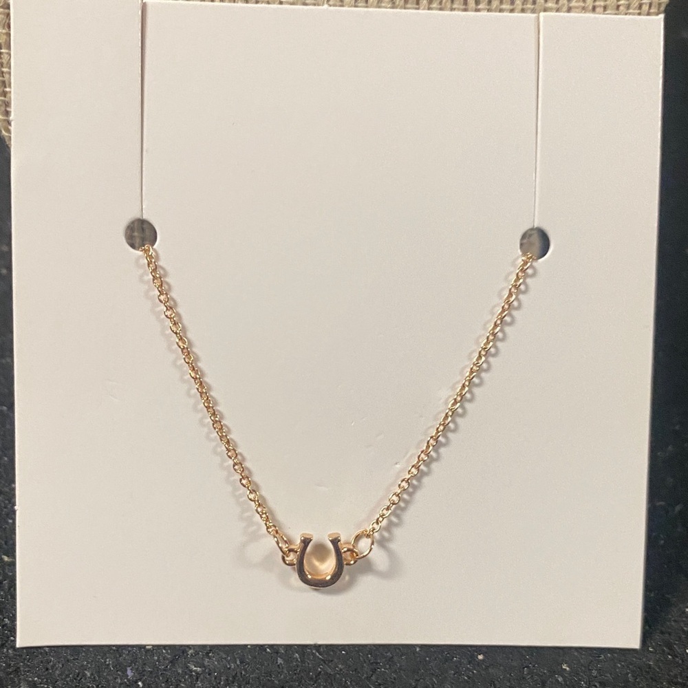 Gold Horseshoe 18in Necklace